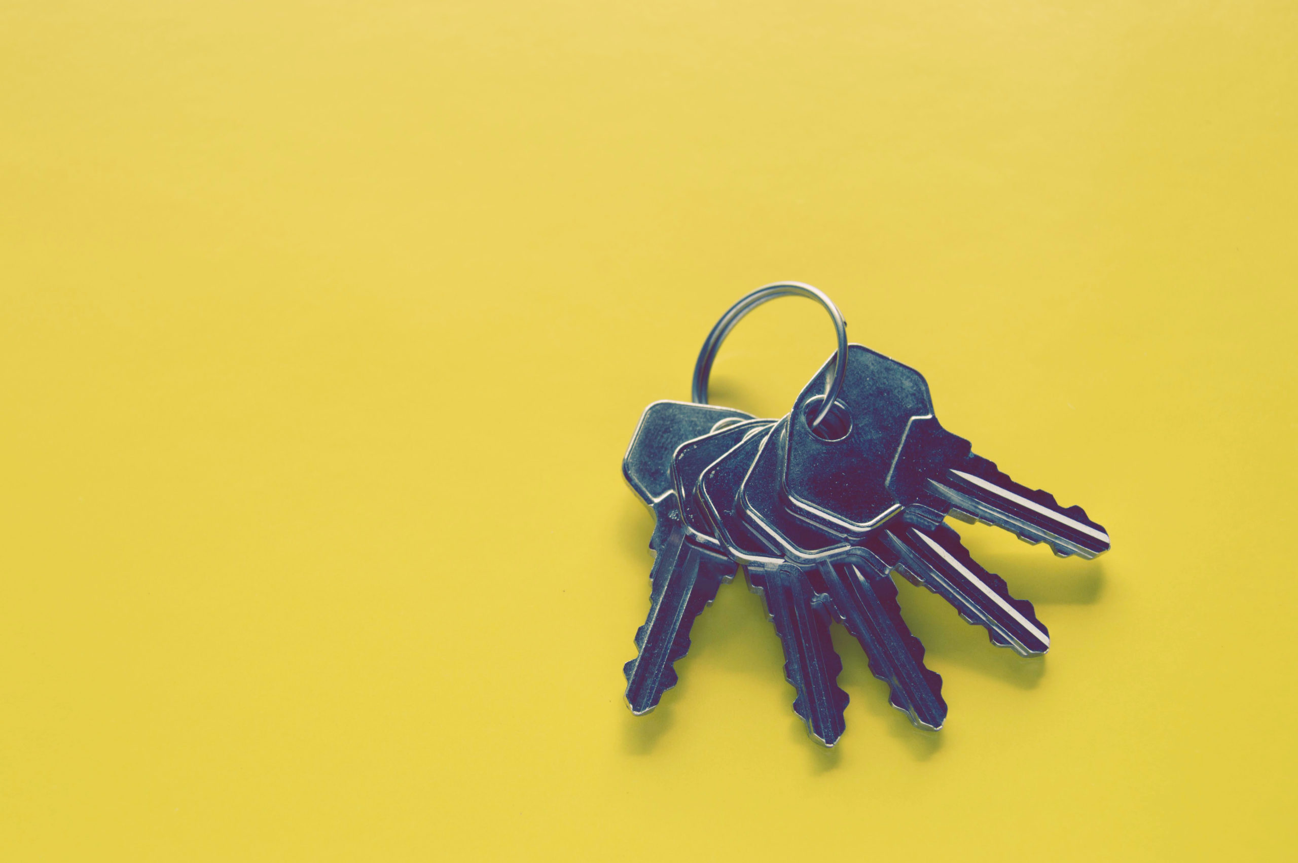 Canva - Six Silver-colored Keys Canva - Six Silver-colored Keys
