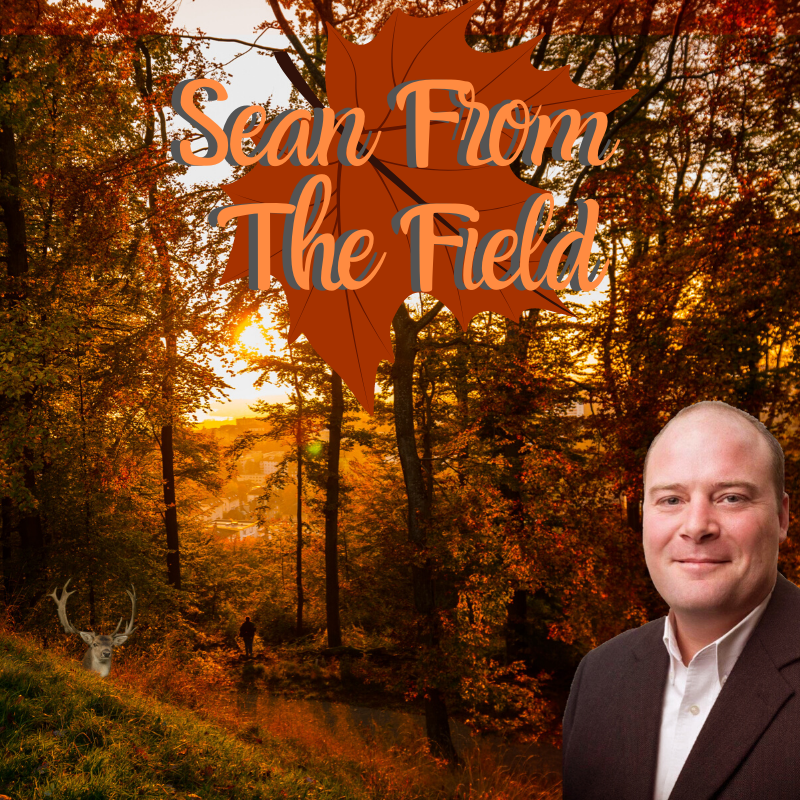 Sean From Th e Field (1) Sean From Th e Field (1)