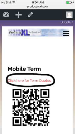 mobile term (3)